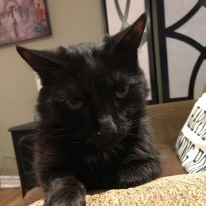 Meet your Posher, Helen